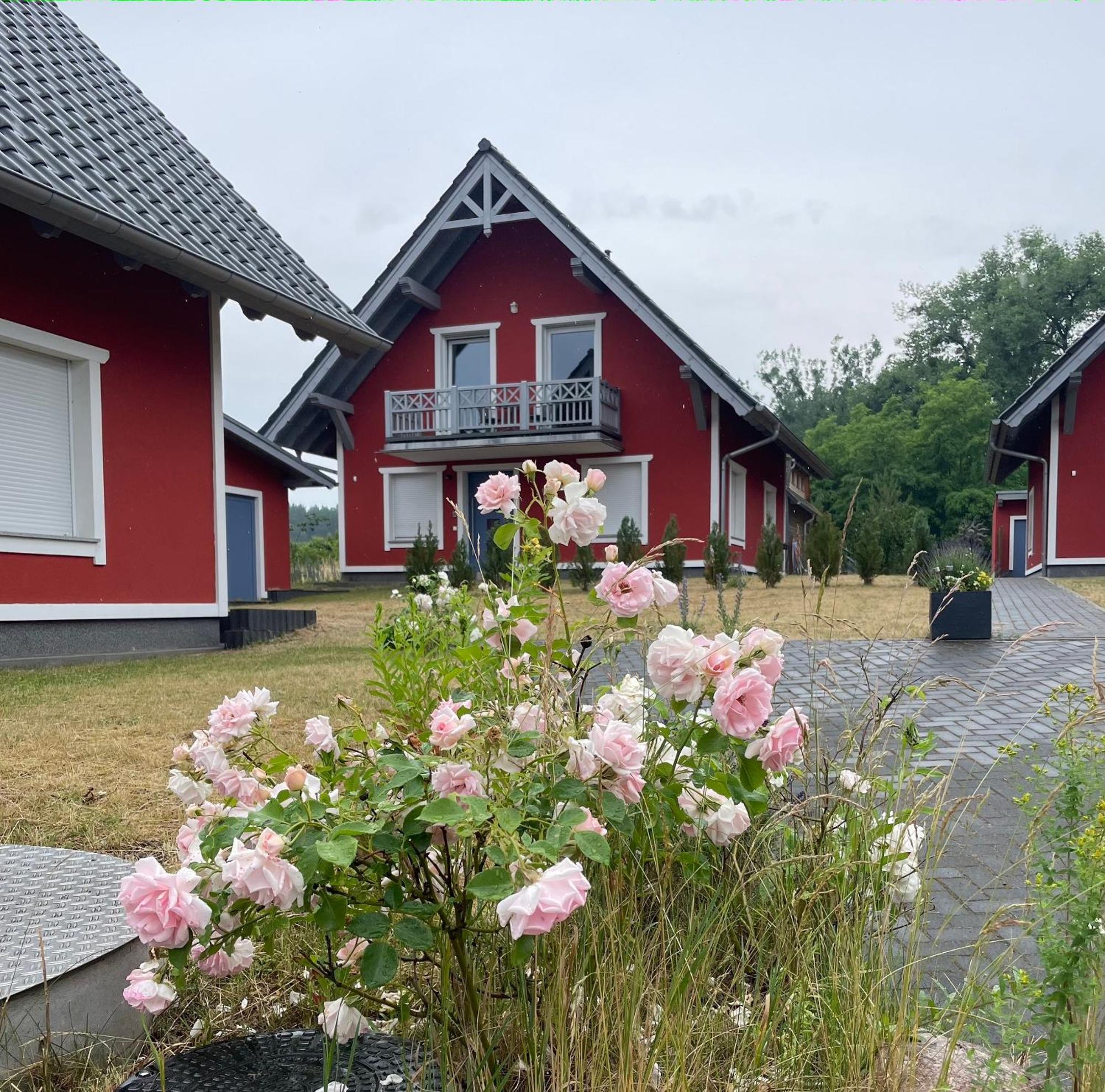Urlaub Am Plaetlinsee - Haus Odin Wustrow  Exterior foto